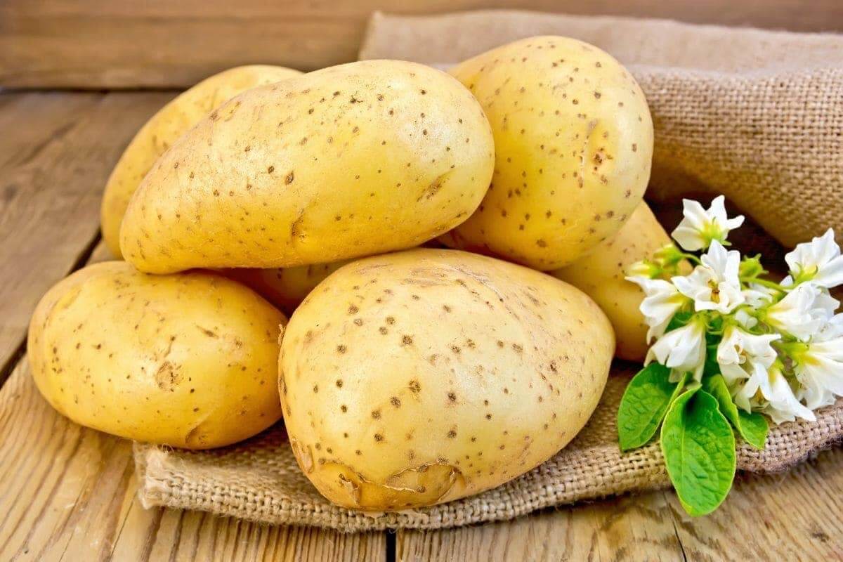 Potatoes in a sack with a white flower, representing a bountiful harvest of freshly harvested produce.