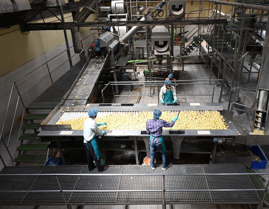 A potato factory with workers on a conveyor belt, diligently engaged in their tasks, ensuring efficient production.