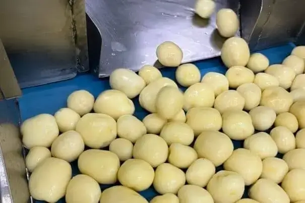 Potatoes being steam peeled in a machine, undergoing processing for further use.