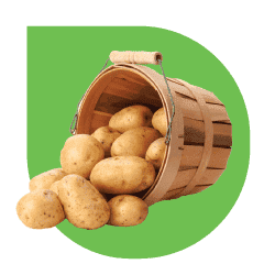 Fresh potatoes in a rustic basket.