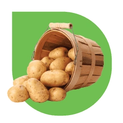 Fresh potatoes in a rustic basket.